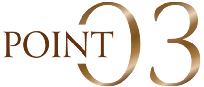 POINT 03